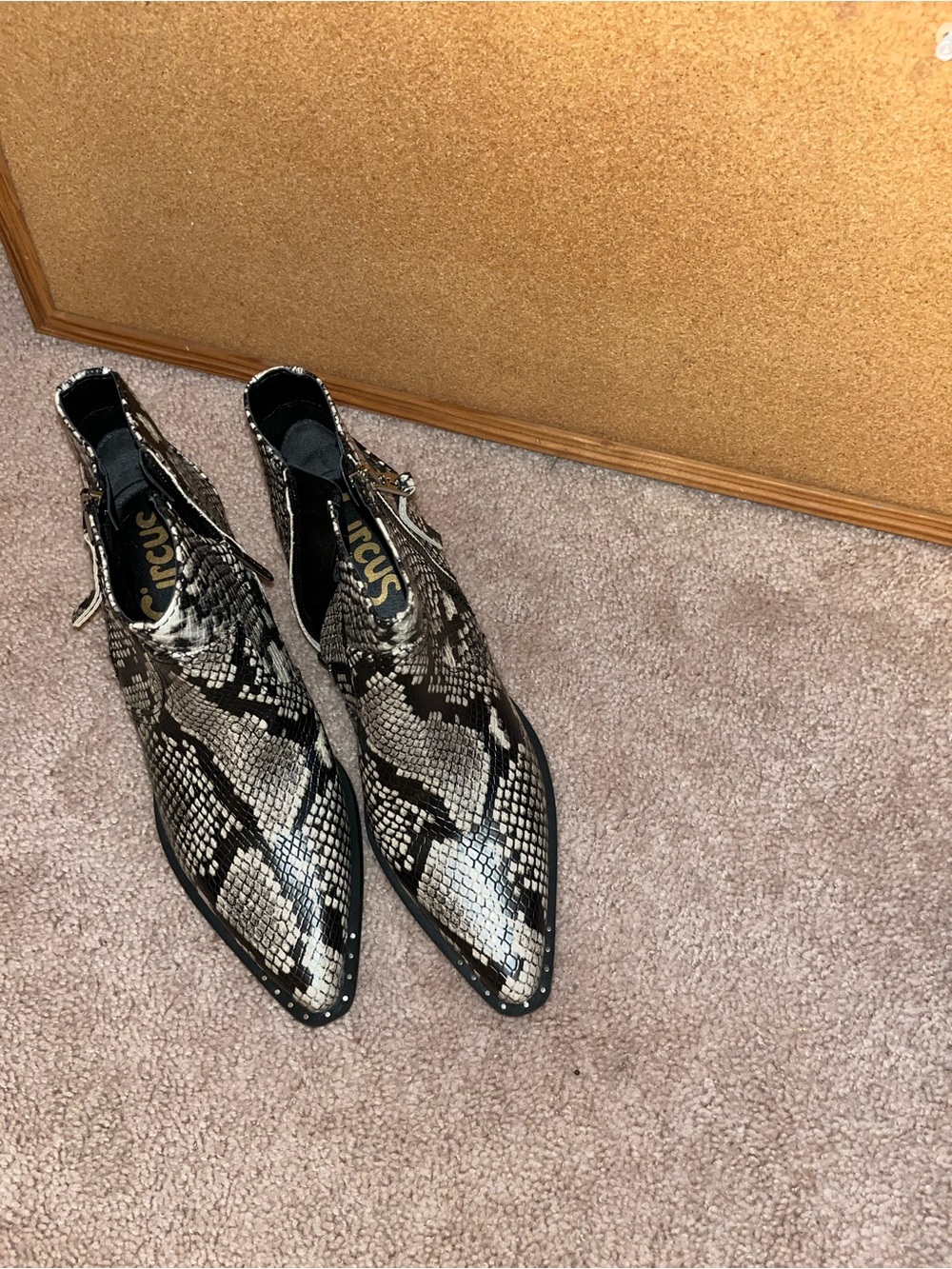 Circus by Sam Edelman boots